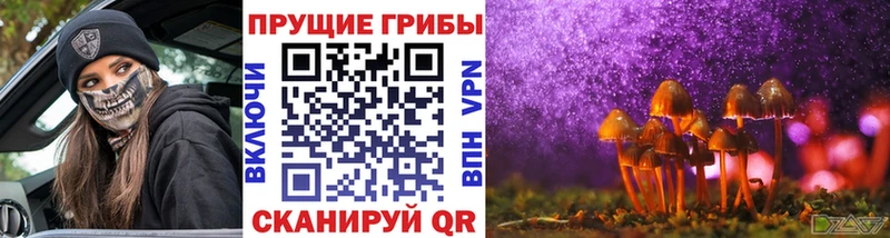 Псилоцибиновые грибы мицелий  Бикин 
